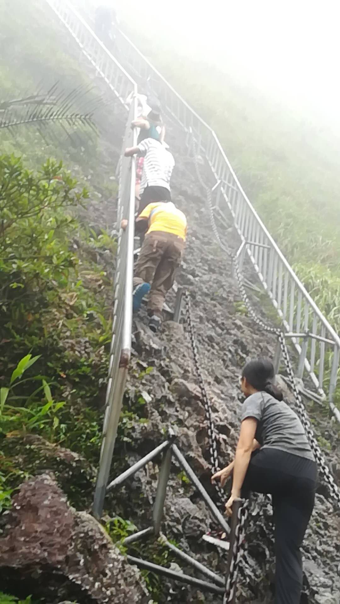 图3 登山途中.jpg