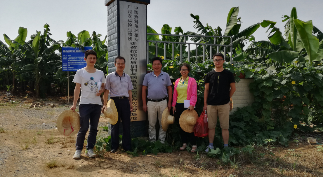 图1 培桂香蕉种植基地开展实地调研与指导.png