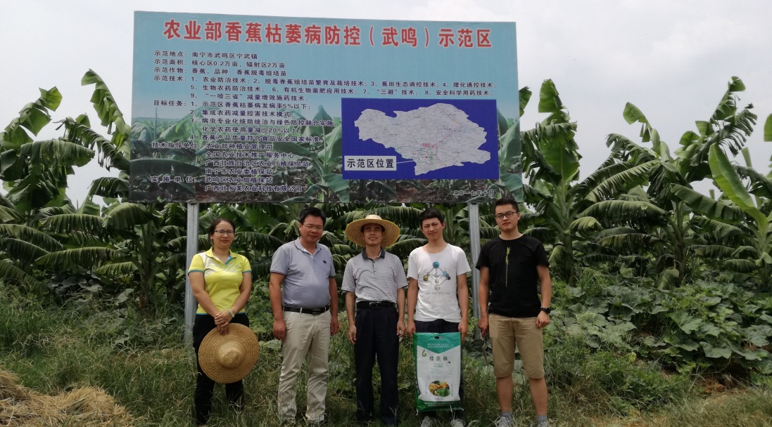 图2 伏塘香蕉种植基地开展实地调研与指导.png
