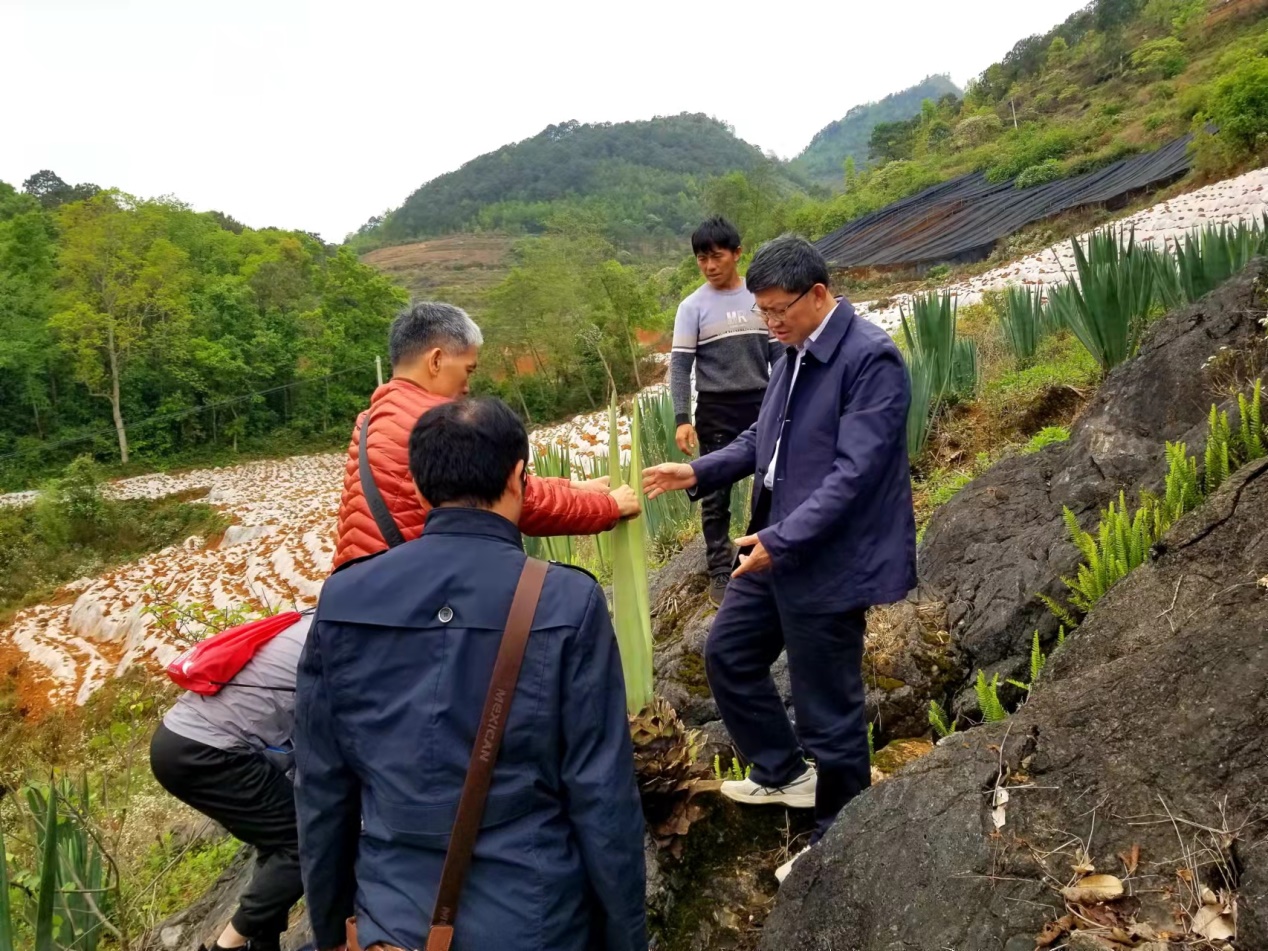 图3 实地调研和技术指导.jpg