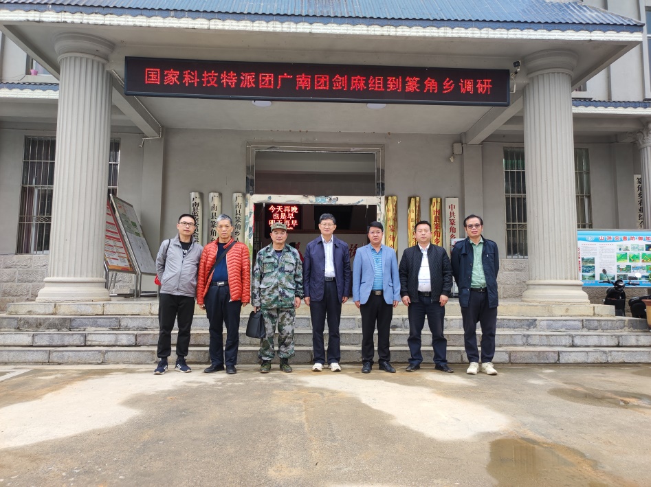 图1 篆角乡剑麻产业调研.jpg