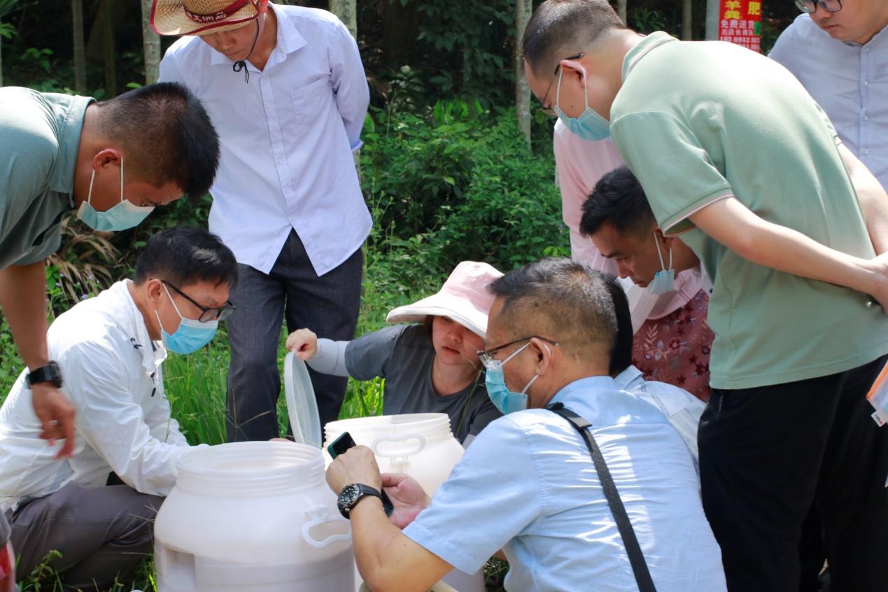 图3 现场查验捕食螨天敌质量.jpg