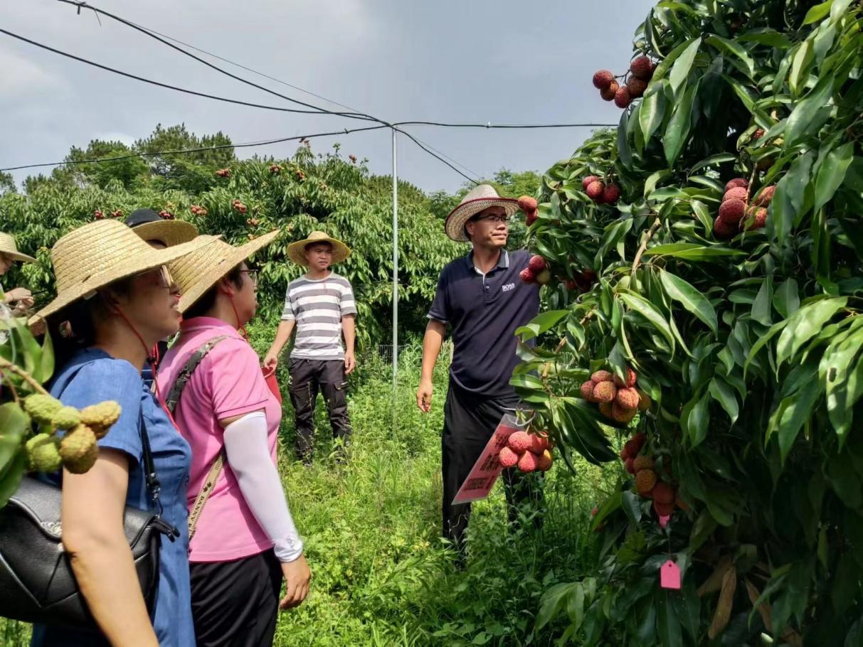 图2 专家现场评价, 团队成员介绍示范成果情况.jpg