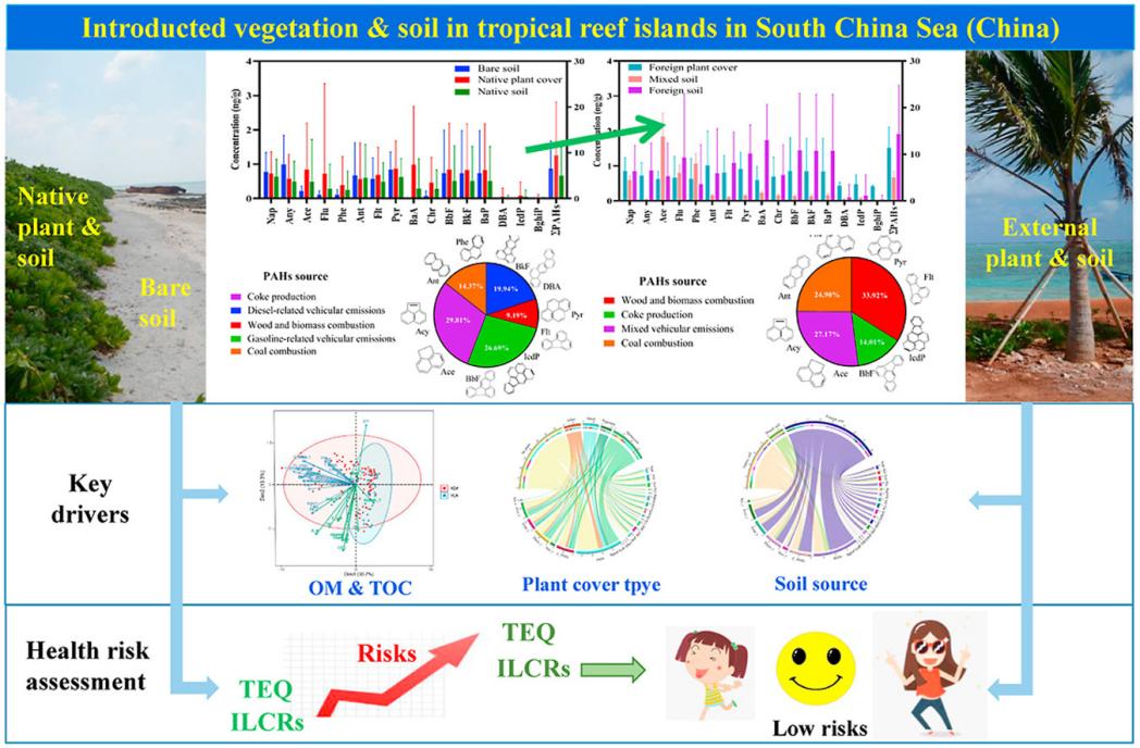 西沙岛礁土壤中PAHs的赋存、驱动因素及健康风险评估示意图.jpg