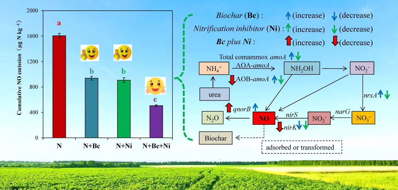 生物炭与硝化抑制剂联合施用协同减缓热带农田土壤一氧化氮（NO）排放示意图.jpg