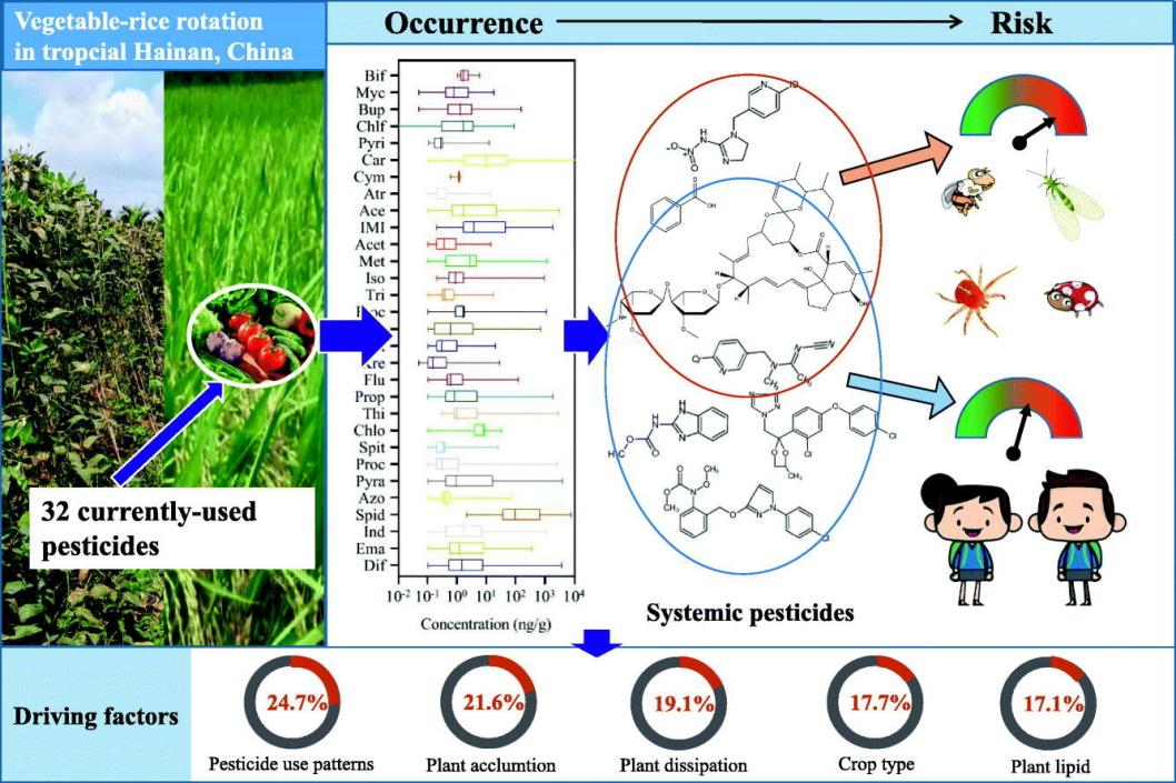 稻菜轮作系统作物中农药的残留特征、影响因素及风险评估示意图.jpg