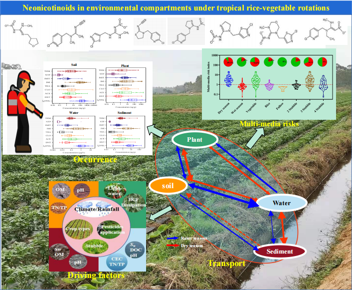 图 稻菜轮作系统作物中新烟碱类杀虫剂的多介质分布特征、迁移行为、影响机制和风险评价研究示意图.png