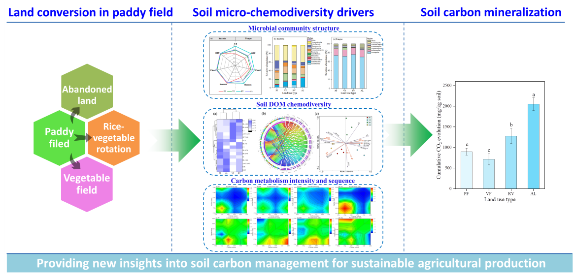 土地利用转变对水稻土有机碳矿化的影响机制.png