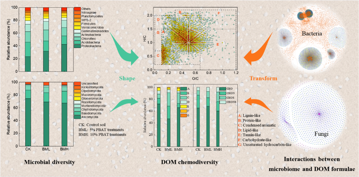 PBAT微塑料对砖红壤微生物多样性及DOM化学多样性的影响.png