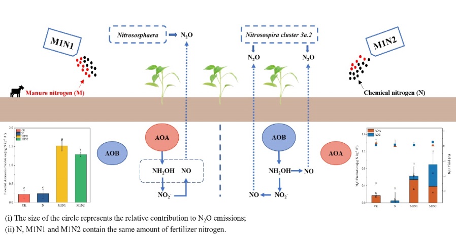 有机肥替代化肥模式下热带农田土壤氨氧化驱动N2O的排放与机制.jpg