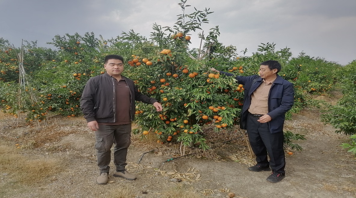 现场技术指导.jpg