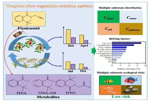 图1. 稻菜轮作系统中氟啶虫酰胺及代谢物的多介质分布、驱动因素及复合生态风险评估.png