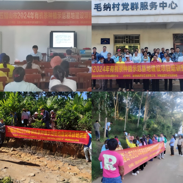 图片2(1).png