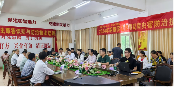 图片1(1).png