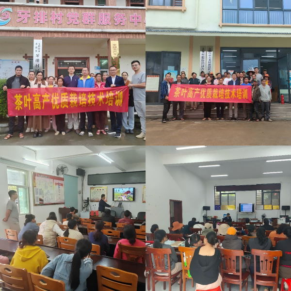 图片1(1).png