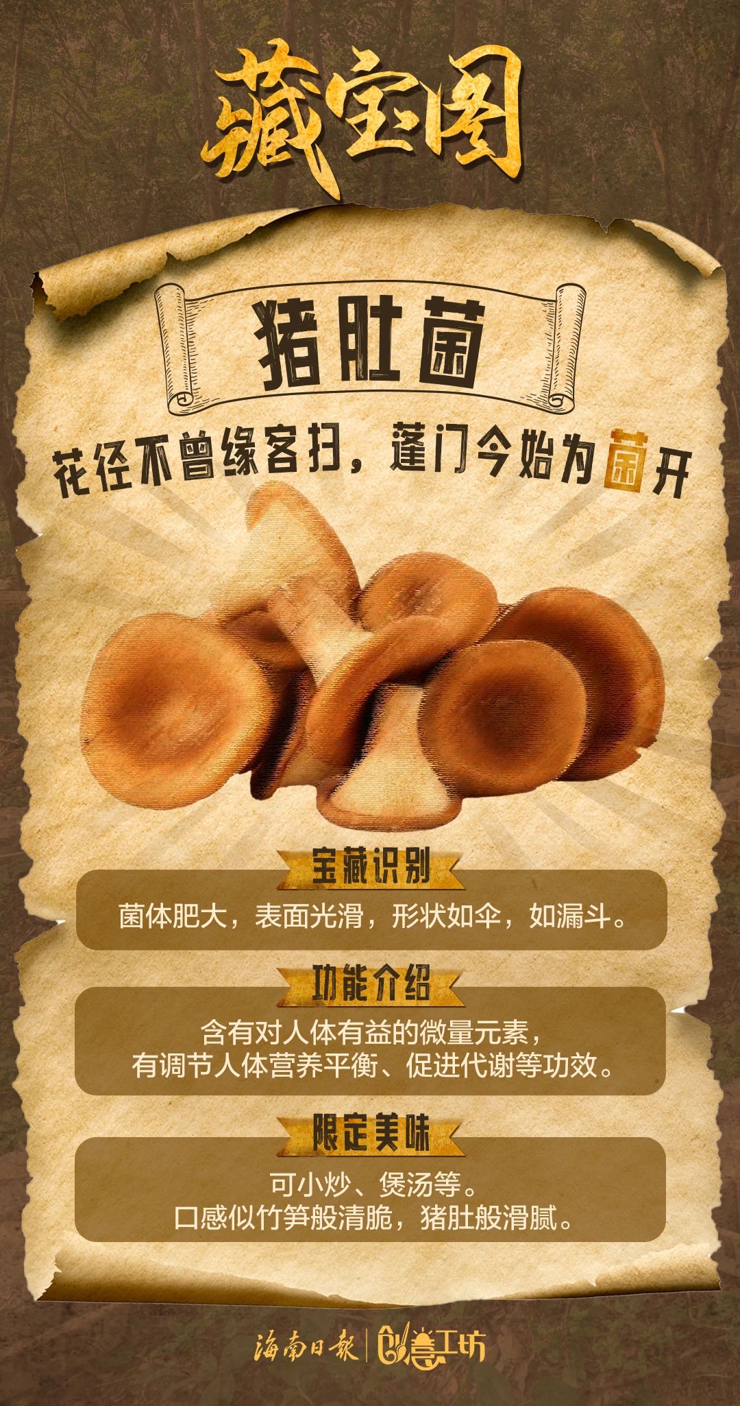微信图片_20241216192242.jpg