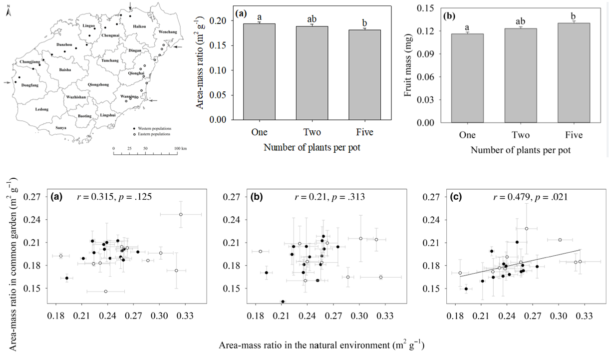 图1  薇甘菊种植密度对瘦果传播性状的影响.png