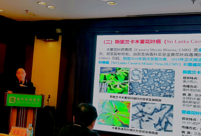 图片1(1).png