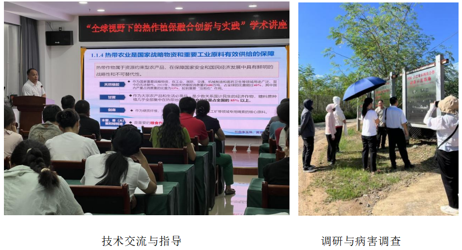 图 片.png