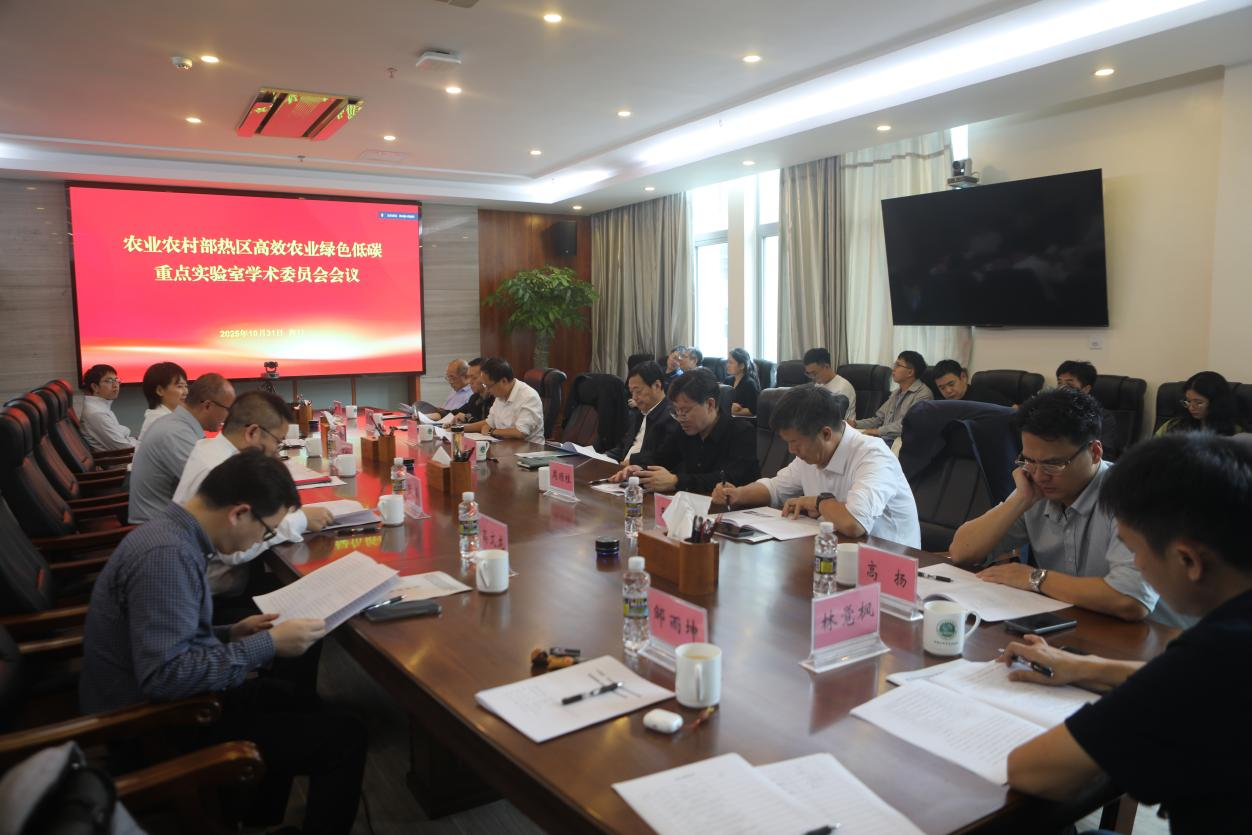 图2 学术委员会会议现场.png