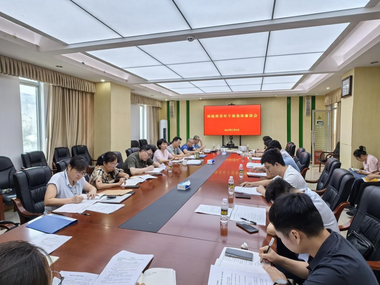 青年干部集体廉谈会.jpg