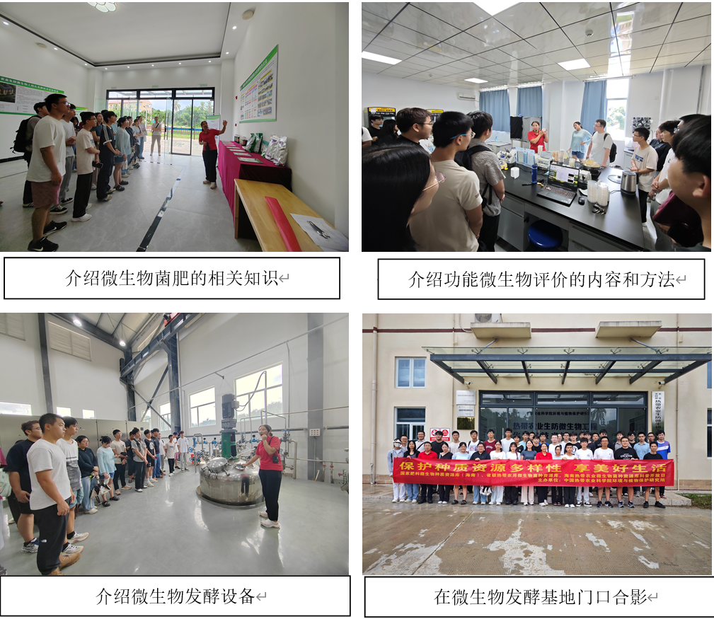图.png